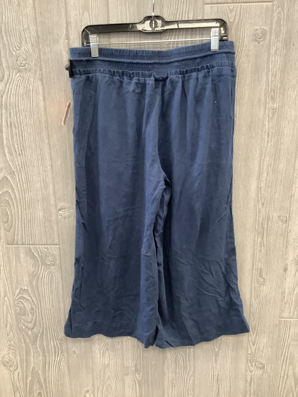 Capris By Time And Tru  Size: 10 Online now - Image 2